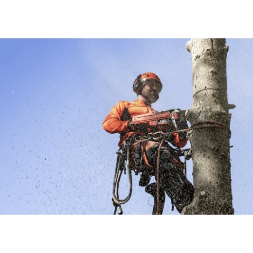 Бензопила Husqvarna 550XP II - 4