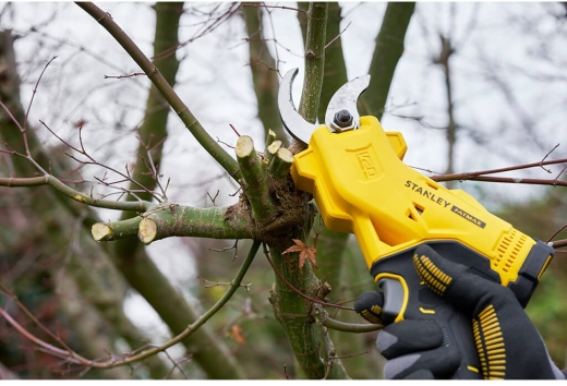 Пила ланцюгова акумуляторна STANLEY FATMAX SFMCCS630M1+SFMCPP32M1 - 12