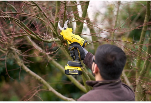 Пила ланцюгова акумуляторна STANLEY FATMAX SFMCCS630M1+SFMCPP32M1 - 10