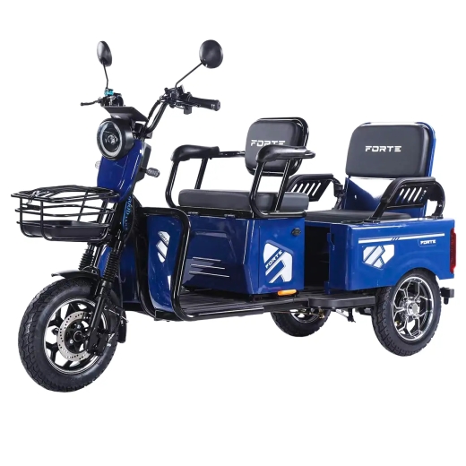Трицикл аккумуляторный Forte CARGO-WN1072G, синий - 1