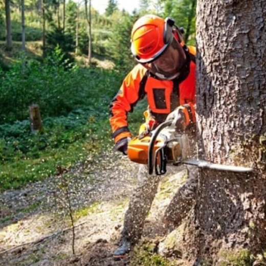 Бензопила Stihl MS 363 (MB012000093) - 4