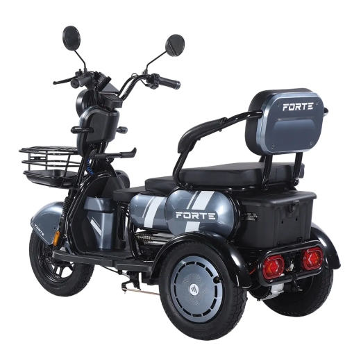 Трицикл аккумуляторный Forte Family-WN1060, серый - 7