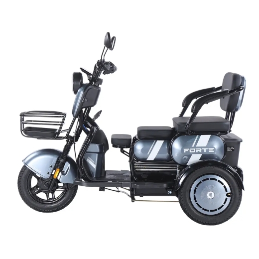 Трицикл аккумуляторный Forte Family-WN1060, серый - 2