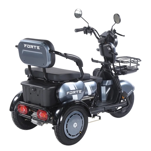 Трицикл аккумуляторный Forte Family-WN1060, серый - 5