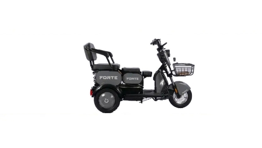 Трицикл акумуляторний Forte Family-WN1060, синій - 1