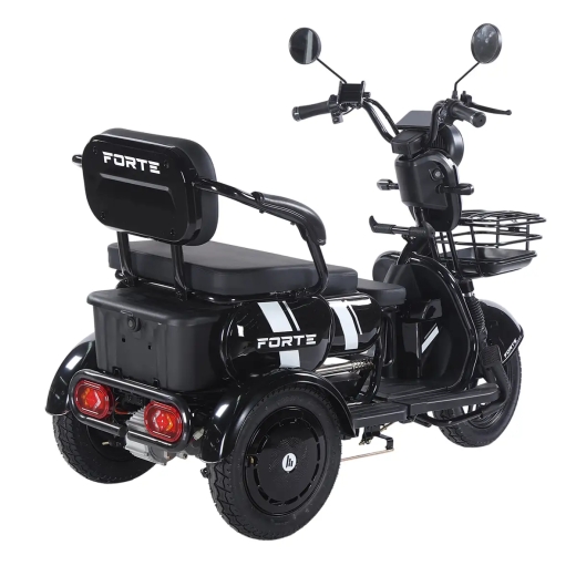 Трицикл аккумуляторный Forte Family-WN1060, черный - 6