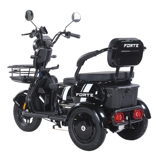 Трицикл аккумуляторный Forte Family-WN1060, черный - 2