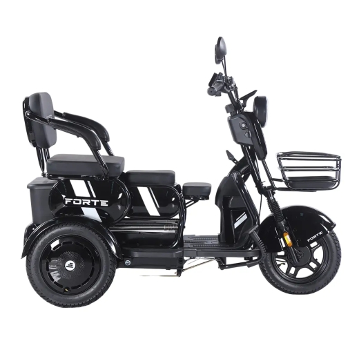 Трицикл аккумуляторный Forte Family-WN1060, черный - 5