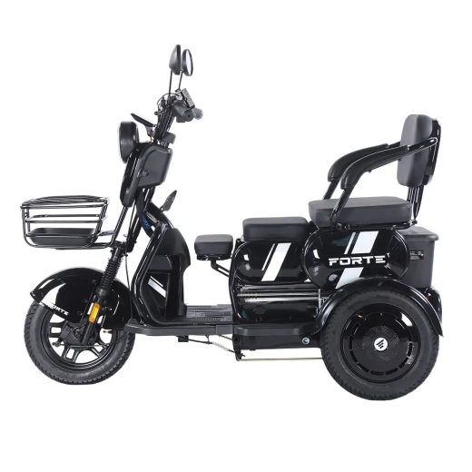 Трицикл аккумуляторный Forte Family-WN1060, черный - 3