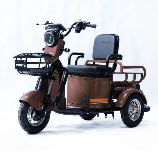 Трицикл аккумуляторный FORTE CARGO-P650 Коричневый Трицикл аккумуляторный FORTE CARGO-P650 Коричневый