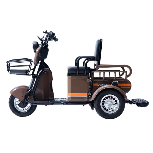 Трицикл аккумуляторный FORTE CARGO-P650 Коричневый - 2