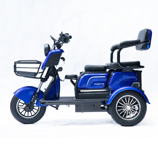 Трицикл акумуляторний FORTE Family-P1000 Синій - 2
