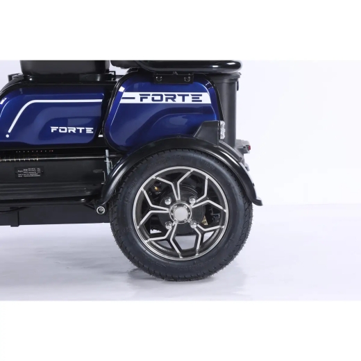 Трицикл аккумуляторный Forte Family-WN1072 Синий - 9