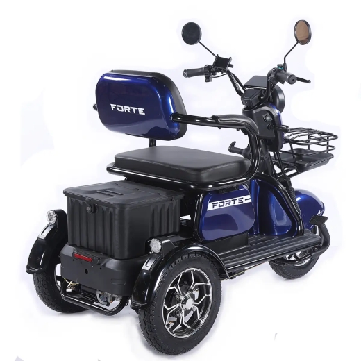 Трицикл аккумуляторный Forte Family-WN1072 Синий - 4