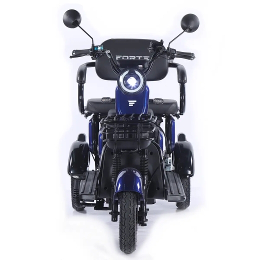 Трицикл аккумуляторный Forte Family-WN1072 Синий - 2