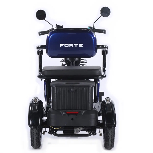 Трицикл аккумуляторный Forte Family-WN1072 Синий - 3