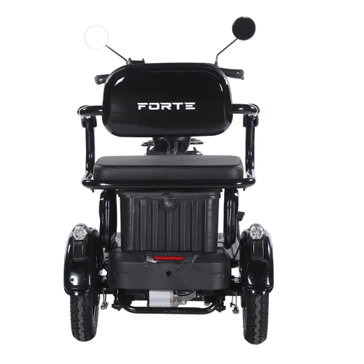 Трицикл аккумуляторный Forte Family-WN1072 Черный - 5
