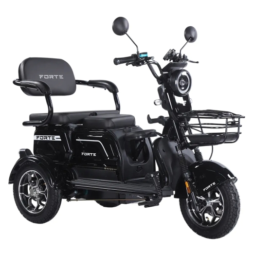 Трицикл аккумуляторный Forte Family-WN1072 Черный - 3