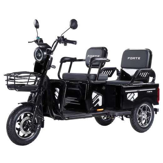 Трицикл аккумуляторный Forte CARGO-WN1072, черный - 1
