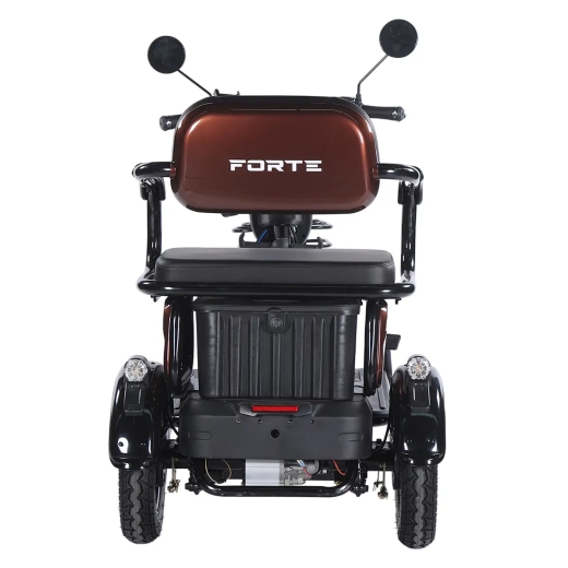 Трицикл аккумуляторный Forte Family-WN1072G Коричневый - 6