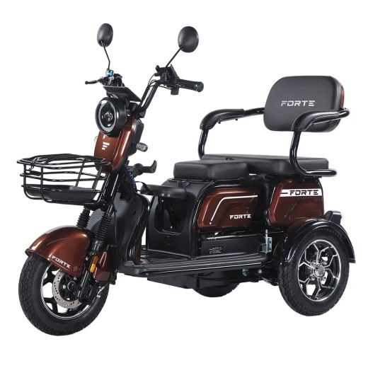 Трицикл аккумуляторный Forte Family-WN1072G Коричневый - 4
