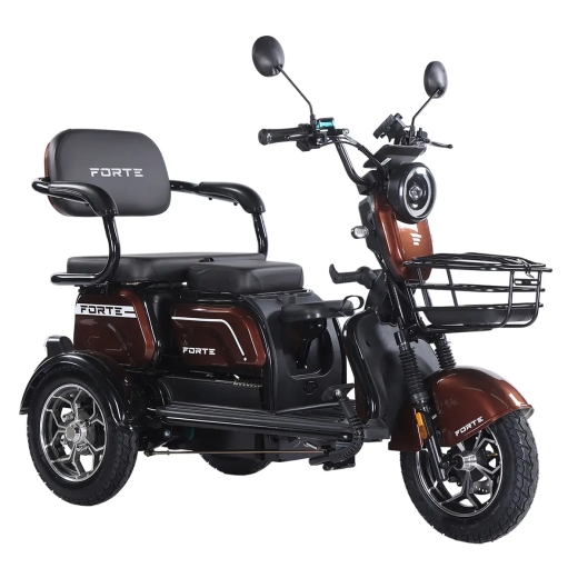 Трицикл аккумуляторный Forte Family-WN1072G Коричневый - 1