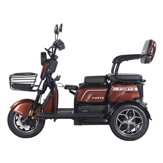 Трицикл аккумуляторный Forte Family-WN1072G Коричневый - 5