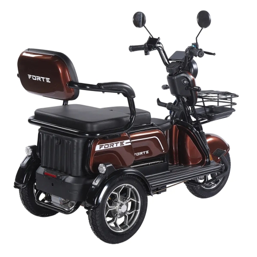 Трицикл аккумуляторный Forte Family-WN1072G Коричневый - 3