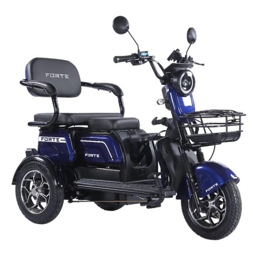 Трицикл аккумуляторный Forte Family-WN1072G Синий - 4