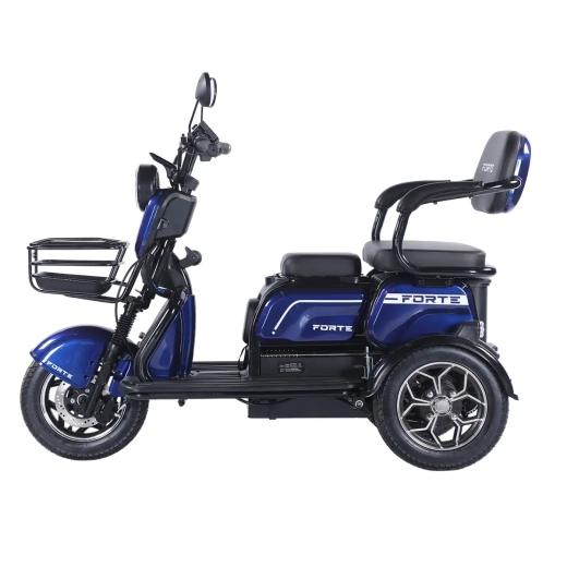 Трицикл аккумуляторный Forte Family-WN1072G Синий - 2