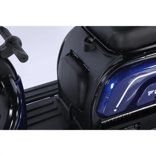 Трицикл аккумуляторный Forte Family-WN1072G Синий - 10