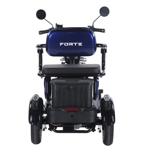 Трицикл аккумуляторный Forte Family-WN1072G Синий - 5