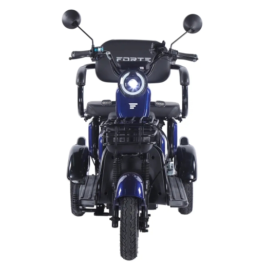 Трицикл аккумуляторный Forte Family-WN1072G Синий - 3