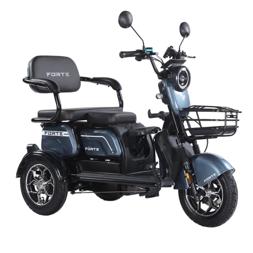 Трицикл аккумуляторный Forte Family-WN1072G Серый (163511) - 4