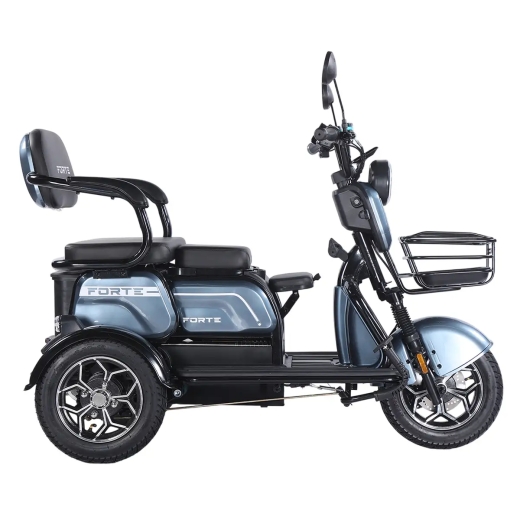 Трицикл аккумуляторный Forte Family-WN1072G Серый - 5