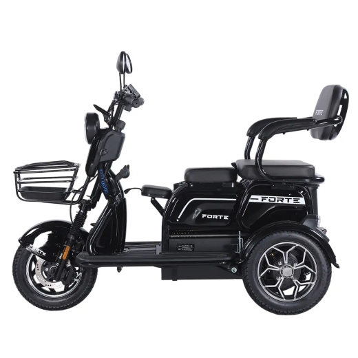 Трицикл аккумуляторный Forte Family-WN1072G Черный - 4