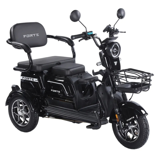 Трицикл аккумуляторный Forte Family-WN1072G Черный - 1