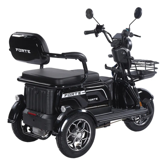Трицикл аккумуляторный Forte Family-WN1072G Черный - 2