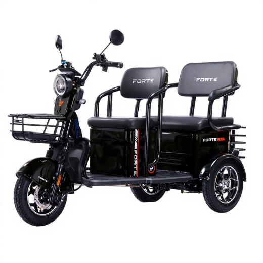 Трицикл аккумуляторный Forte TRANSIT-WN1072G Черный (163517) - 1