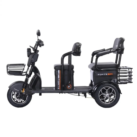 Трицикл аккумуляторный Forte TRANSIT-WN1072G Серый - 2