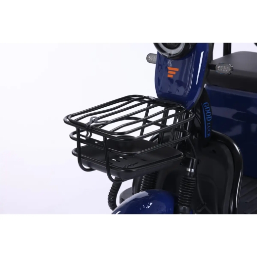 Трицикл аккумуляторный Forte TRANSIT-WN1072G Синий - 6