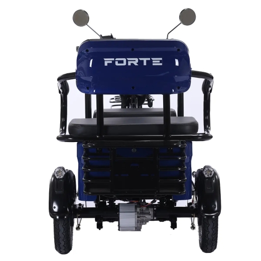 Трицикл аккумуляторный Forte TRANSIT-WN1072G Синий - 4