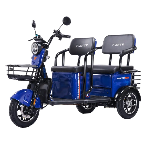 Трицикл аккумуляторный Forte TRANSIT-WN1072G Синий - 2