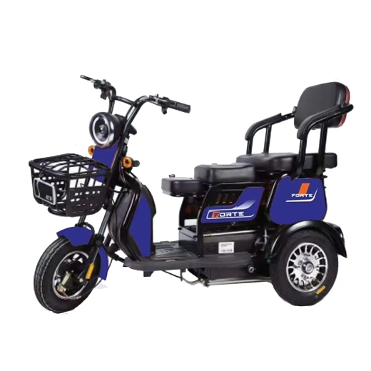 Трицикл аккумуляторный Forte FAMILY-WN600 синий Трицикл аккумуляторный Forte FAMILY-WN600 синий