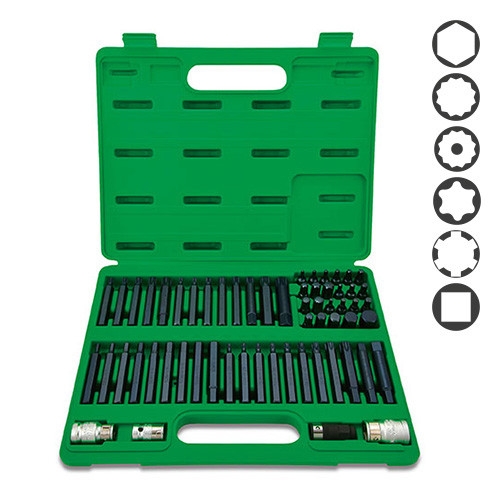Профессиональный набор бит TOPTUL TORX, HEX, SPLINE, RIBE, SQ 60 ед. GCAI6003 - 1