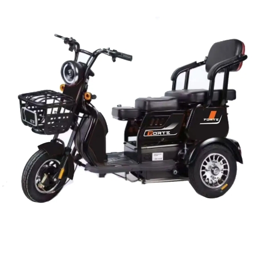 Трицикл аккумуляторный Forte FAMILY-WN800 черный Трицикл аккумуляторный Forte FAMILY-WN800 черный