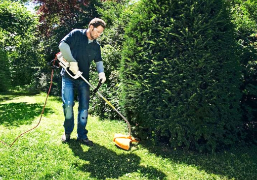 Триммер Stihl FSE 81 - 3