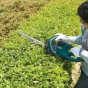 Мережевий кущоріз Makita UH 6580 - 2