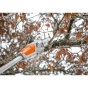 Акумуляторний висоторіз Stihl НТА 50 - 6