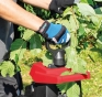 Подрібнювач садовий електричний Scheppach GS60 - 5